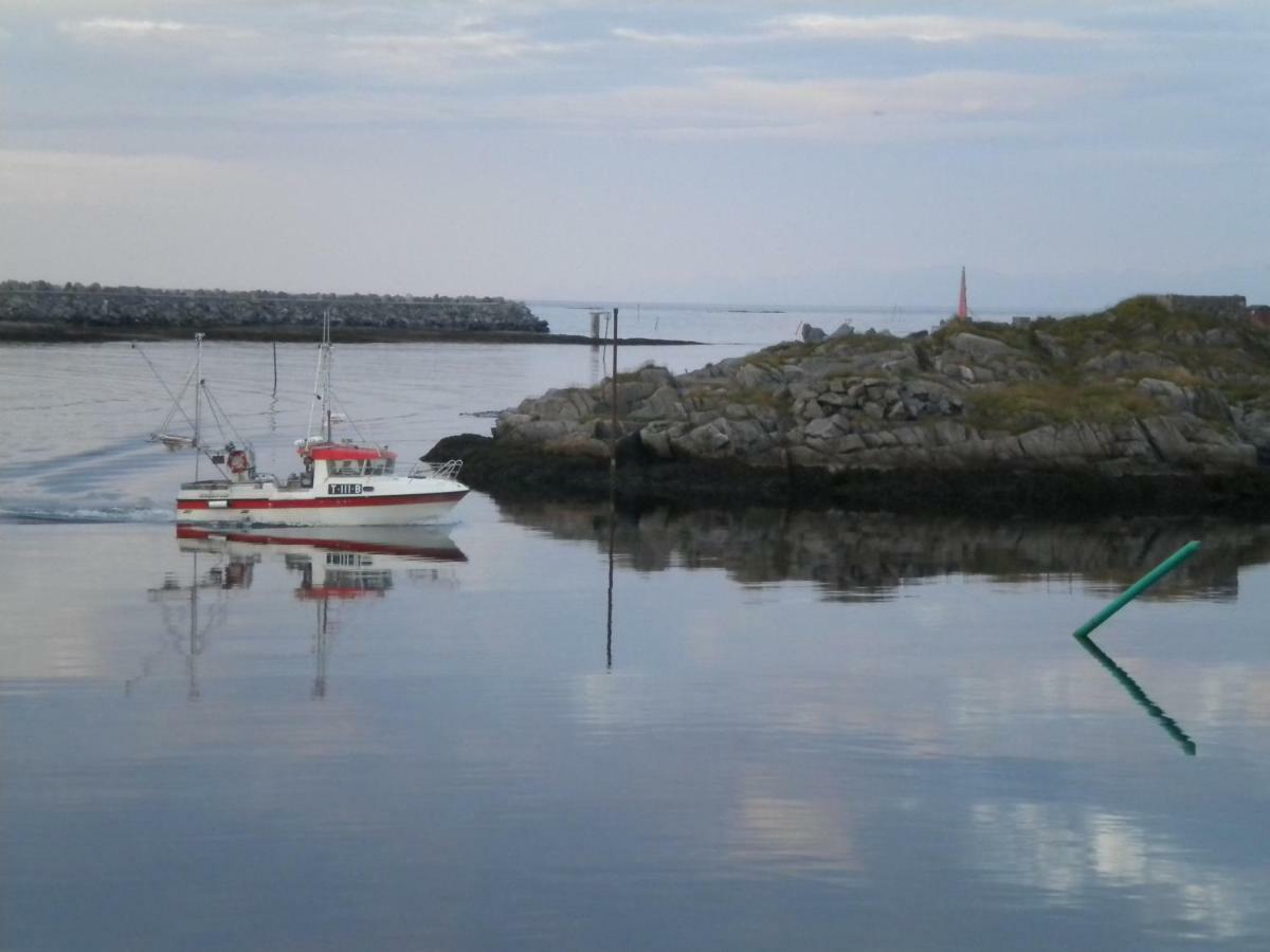 Apt 201 - Andenes Whale Safari Apartments Buitenkant foto