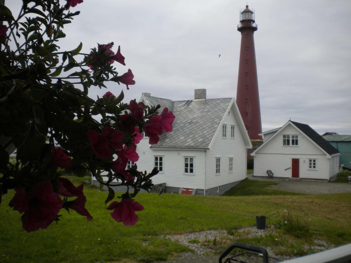 Apt 201 - Andenes Whale Safari Apartments Buitenkant foto